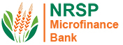 NRSP Microfinance Bank Rahim Yar Khan Jobs 2022