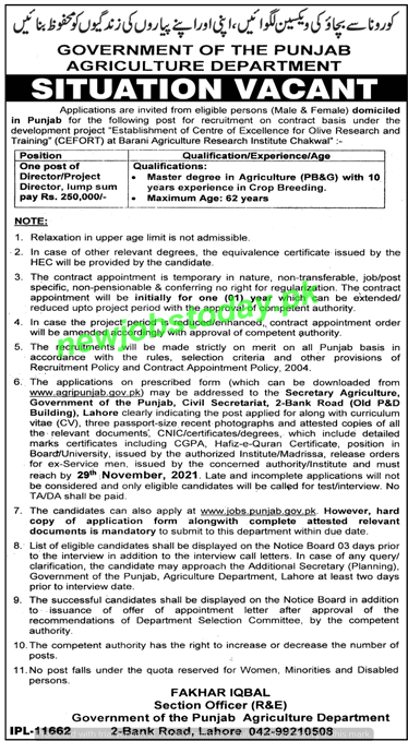 latest-jobs-at-punjab-agriculture-department