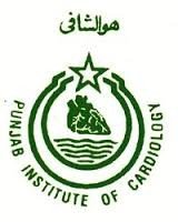 jobs-at-punjab-institute-of-cardiology-lahore-2022