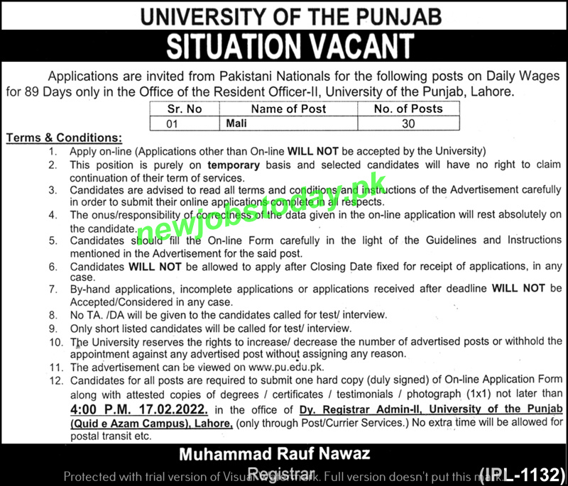 new-jobs-in-university-of-punjab-lahore-2022