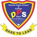 district-public-school-pattoki-jobs-2022